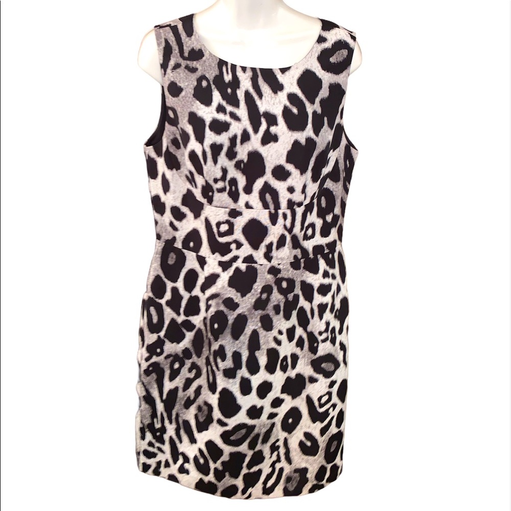 Ann Taylor Dress